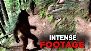 Trail Cam Captures NO ONE Saw Coming