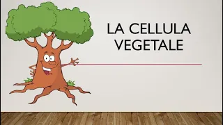 SCIENZE - Lezione 8 - la cellula vegetale