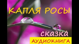 Капля росы. Сказка. (Аудиокнига)