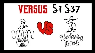 Worm vs Blackwing Duck | Versus