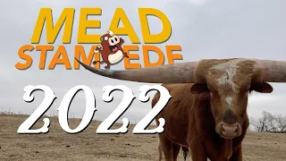 The Mead Competition You Must Enter! (Mead Stampede 2022)