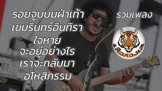 รวมเพลง เสือสองเล