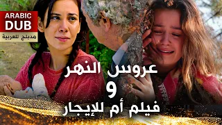 عروس النهر و فيلم أم للإيجار - فيلم تركي مدبلج للعربية