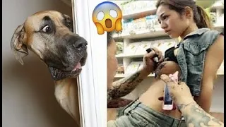 New Funny and Fail Videos 2023 😂 Cutest People Doing Funny Things 😺😍 P8