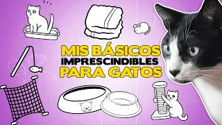 Los BÁSICOS IMPRESCINDIBLES para GATOS 😸 | Todo lo que necesita tu gato en casa