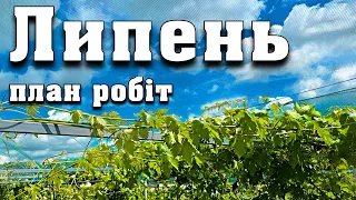 План робіт на ЛИПЕНЬ. Нормування урожаєм, обробки, полив та добрива