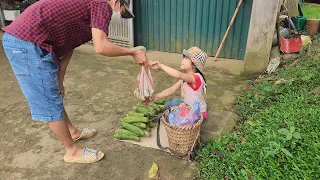 Poor girl - Picking melons to sell, Improving her life, eating in a small hut with a dog to rely on