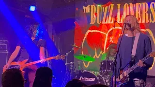 The Buzz Lovers (Nirvana Tribute)- Smells Like Teen Spirit!