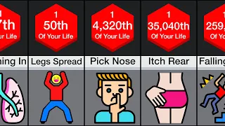 Comparison: Proportion Of Your Life