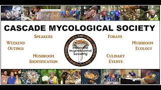 All about the Cascade Mycological Society
