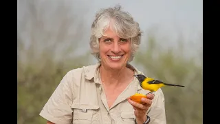 Ruth Hoyt: Mastering Wildlife Photography