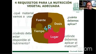 Fertilización del Cultivo de Pecano