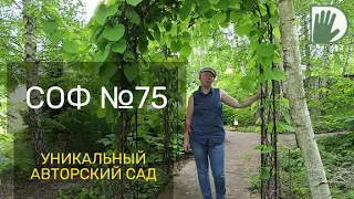 Видео журнал "СОФ №75" УНИКАЛЬНЫЙ АВТОРСКИЙ САД к.б.наук Александра Чечурова