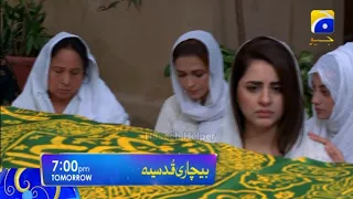 Bechari Qudsia 30 Teaser | Promo | Bechari Qudsia Episode 29 Har Pal Geo Drama | Haseeb helper