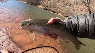 Chama Momma / Fly Fishing Northern NM