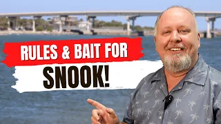 Rules For Snook Fishing At Sebastian Inlet