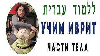 Учим иврит с Чариной. Части тела. Урок 38