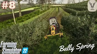 Feeding Cows, Olive Farm Job & Meat Production | Bally Spring | FS22| Timelapse #8