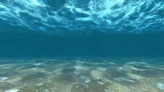 Sonido Bajo el Agua - Underwater Sound