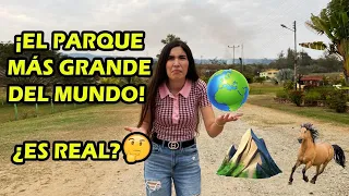 Decían que era el paraíso así que fui a comprobarlo 😰😰 Janinalchair