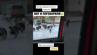 Индюки мне отвечают)) #shorts