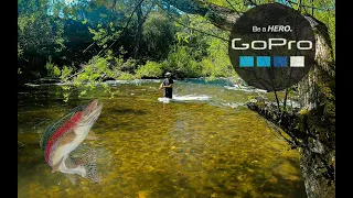 Camping & Trout Fishing in Kiewa River filmed with GoPro Hero 8 Black