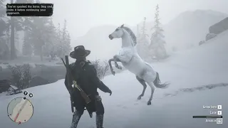 Red Dead Redemption 2 PC : Taming the White Arabian Horse (Elite Handling)