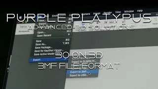 30 on 3D: 3MF File Format | Purple Platypus