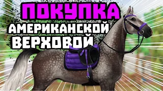 ПОКУПКА АМЕРИКАНСКИХ ВЕРХОВЫХ | ЛАГЕРЬ ВЕСТЕРН | Star Stable