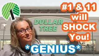 12 WEIRD but *GENIUS* Dollar Tree HOME HACKS! 2023 MIND BLOWING HACKS on a BUDGET