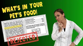 How To Read Pet Food Labels With Holistic Veterinarian Dr. Katie Woodley