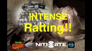 INTENSE RATTING!!!