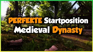 PERFEKTE Startposition für MEDIEVAL DYNASTY 🌱 GUIDE