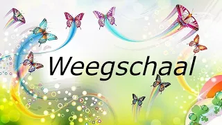 Weegschaal juni reading #tarotreading, #tarot, #astrologie, #numerology, #bewustzijn