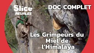 Le trésor des ABEILLES GÉANTES de l'Himalaya | SLICE PEUPLES