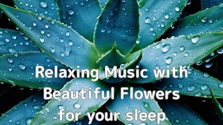 for your sleep "Relaxing Music with Beautiful Flowers"