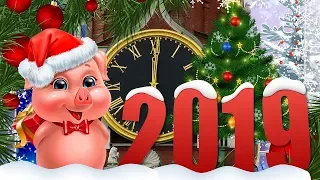 Смешные поздравления с годом свиньи!