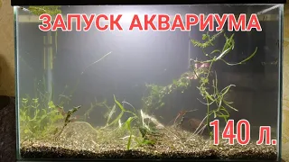 ЗАПУСК АКВАРИУМА НА 140 ЛИТРОВ