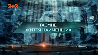 Таємне життя найменших  – Загублений світ. 2 сезон. 91 випуск