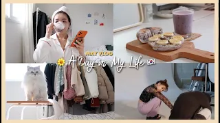 A DAY IN MY LIFE 🇰🇷 GRWM + RECENT ACTIVITIES | Erna Limdaugh