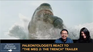 Paleontologists React to Meg 2: The Trench Trailer!