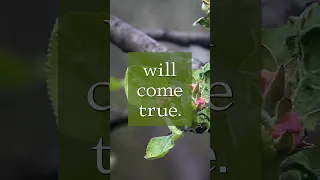 God's Words Will Come True - Pastor Rick’s Daily Hope