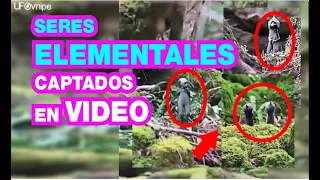 SERES ELEMENTALES CAPTADOS EN VIDEOS