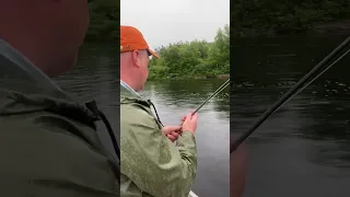 Atlantic Salmon Fishing on the Exploits River, NL. #flyfishing #shorts #flytying #short #salmon