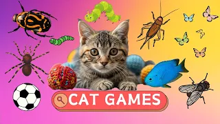 Cat Games Collection - Fun Cat Stimulating Games | CAT TV (1 Hour)