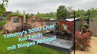 Ein ganzjährig beheizter 5000 Liter Koi Teich mit Biogas betrieben!!