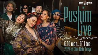 PUSHIM LIVE  : BLUE NOTE TOKYO 2024 trailer