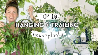 BEST Hanging + Trailing Houseplants Right Now 🌱 Top 10 Amazing Plants To Hang and Trail