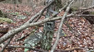 Kentucky Bigfoot Game Camera Set-Up