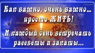 Как важно, очень важно … просто ЖИТЬ! И каждый день встречать рассветы и закаты…